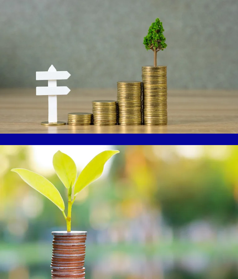 Altura Capital